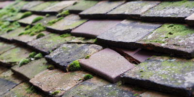 Llanwenog roof repair costs